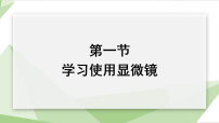 初中生物人教版（2024）七年级上册（2024）学习使用显微镜课文ppt课件
