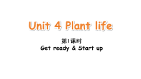 外研版（三起）2024四年级下册（2024）Unit 4 Plant life课文配套ppt课件