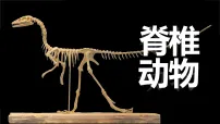 人教版（2024）七年级上册（2024）鱼课堂教学课件ppt