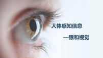 初中第16章 人体生命活动的调节第2节 人体的感觉和感觉器官教学ppt课件