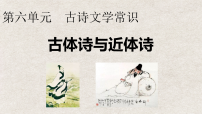 人教部编版（2024）八年级下册（2024）第六单元阅读24 唐诗三首石壕吏教案配套课件ppt