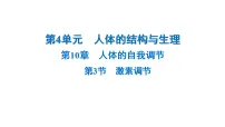 初中生物北师大版（2024）七年级下册（2024）激素调节习题课件ppt