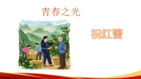 初中语文人教部编版（2024）七年级下册（2024）青春之光教学ppt课件