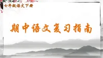 统编版语文七年级下册期中复习课件