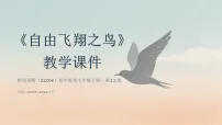 初中美术岭南版（2024）七年级下册（2024）自由飞翔之鸟教学ppt课件