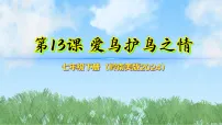 初中美术岭南版（2024）七年级下册（2024）爱鸟护鸟之情备课课件ppt