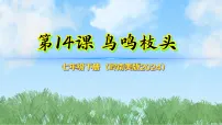 岭南版（2024）七年级下册（2024）鸟鸣枝头教学课件ppt