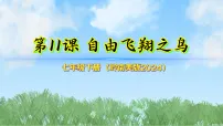 岭南版（2024）七年级下册（2024）自由飞翔之鸟教学演示课件ppt