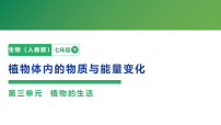 人教版（2024）七年级下册（2024）植物体内的物质与能量变化示范课ppt课件