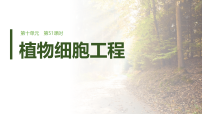 第十单元　第51课时　植物细胞工程-2027年高考生物一轮复习课件（含讲义及答案）