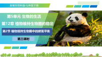 初中生物苏科版（2024）七年级下册（2024）植物维持生物圈中的碳氧平衡教学ppt课件