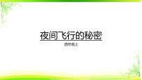 语文夜间飞行的秘密课文ppt课件
