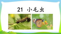 统编版（2024）二年级下册（2024）第七单元・阅读21 小毛虫课文ppt课件