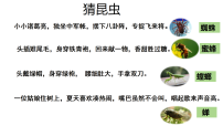 语文八年级下册（2024）《昆虫记》教学课件ppt