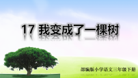 统编版（2024）17 我变成了一棵树教课ppt课件