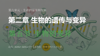 初中生物人教版（2024）八年级下册（2024）第五节 生物的变异教学演示ppt课件