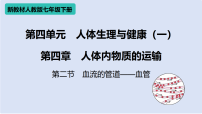 初中生物人教版（2024）七年级下册（2024）血流的管道—血管多媒体教学ppt课件