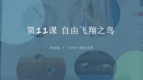 美术自由飞翔之鸟教学ppt课件