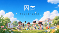 小学科学青岛版（六三制）(2024)三年级上册（2024）7 固体获奖ppt课件