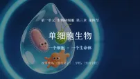初中生物人教版（2024）七年级上册（2024）单细胞生物教课内容课件ppt