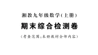 初中数学新湘教版九年级上册期末综合训练课件（放映显示答案）（2026秋）