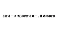 初中语文新人教版九年级上册期末《唐诗三百首》阅读计划三：整本书阅读作业课件（放映显示答案）（2026秋）