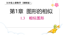湘教版（2024）九年级上册（2024）1.3 相似图形课堂教学ppt课件