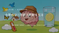 2026春小学粤科版科学三年级下册期末复习课件