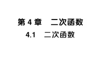 初中数学湘教版（2024）九年级上册（2024）4.1 二次函数作业课件ppt