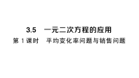 湘教版（2024）九年级上册（2024）第3章 一元二次方程3.5 一元二次方程的应用作业课件ppt