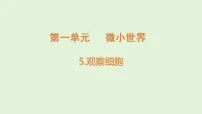 教科版（2024）五年级上册（2024）5. 观察细胞评课课件ppt