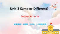 初中英语人教版（2024）八年级上册（2024）Unit 3 Same or Different? Section A 1a-1e教学课件ppt