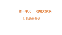 小学科学苏教版（2024）四年级上册（2024）1 给动物分类教学课件ppt