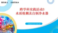 人教版（2024）九年级上册（2024）水质检测及自制净水器精品教学ppt课件