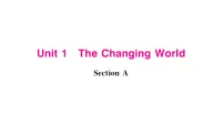 初中英语Grammar Focus作业课件ppt
