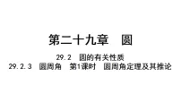 初中数学人教版（2024）九年级上册（2024）29.2.3 圆周角作业课件ppt