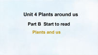 人教版PEP（2024）三年级上册（2024）Unit 4 Plants around us Part B集体备课ppt课件