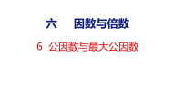 苏教版（2024）五年级上册（2024）公因数和公倍数教学ppt课件