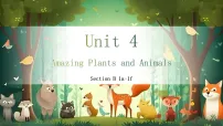 初中英语人教版（2024）八年级上册（2024）Unit 4 Amazing Plants and Animals Section A获奖课件ppt