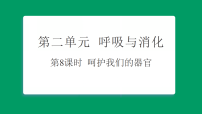 教科版（2024）四年级上册（2024）8. 呵护我们的器官习题ppt课件