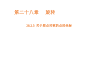人教版（2024）九年级上册（2024）28.2.3 关于原点对称的点的坐标授课课件ppt