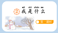 小学统编版（2024）2 我是什么教学演示课件ppt