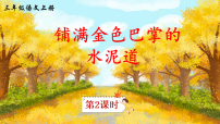 小学语文统编版（2024）三年级上册（2024）5 铺满金色巴掌的水泥道评课ppt课件