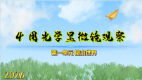 小学科学教科版（2024）五年级上册（2024）4. 用光学显微镜观察教课内容课件ppt