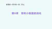教科版（2024）四年级上册（2024）第二单元 呼吸与消化6. 胃和小肠里的消化备课课件ppt