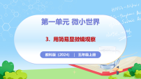 教科版（2024）五年级上册（2024）3. 用简易显微镜观察优质教学ppt课件