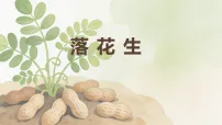 小学语文统编版(2024)五年级上册(2024)第二单元5 落花生授课课件ppt