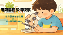 教科版（2024）五年级上册（2024）3. 用简易显微镜观察精品课件ppt