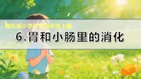 科学四年级上册（2024）6. 胃和小肠里的消化课文ppt课件
