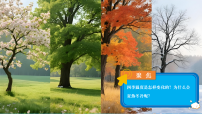 小学科学教科版（2024）六年级上册（2024）7. 四季变化图文课件ppt